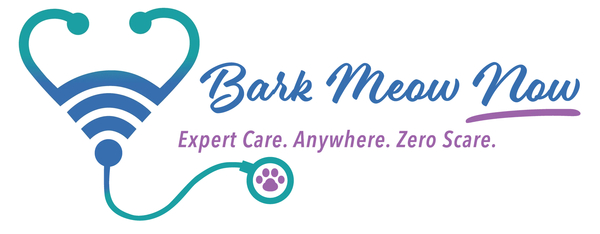 BarkMeowNow