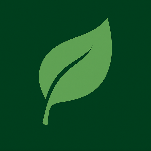 Maes Center for Natural Health Care